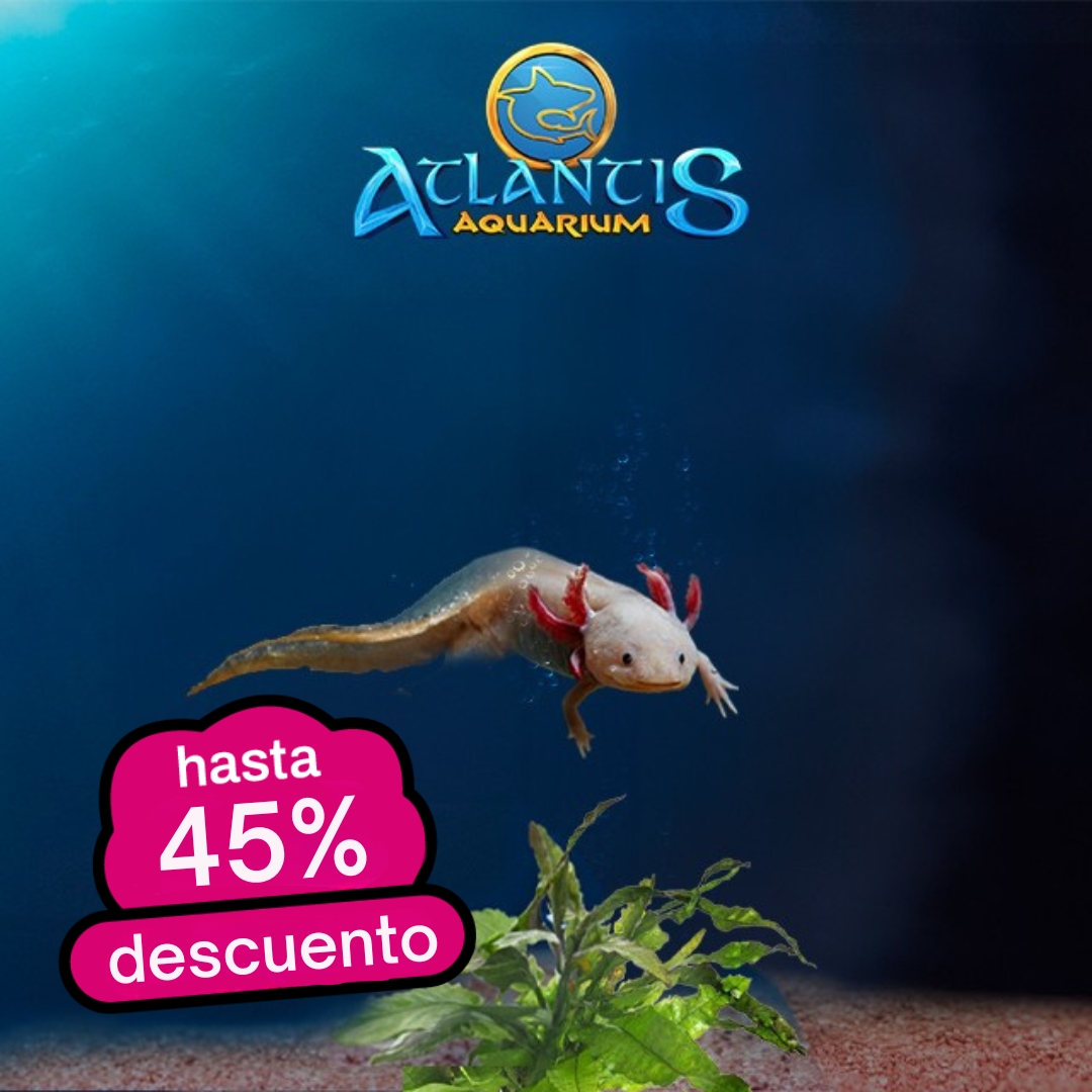 Atlantis Aquarium Madrid