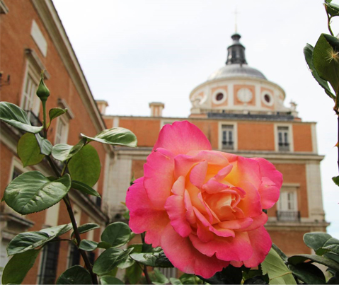 Aranjuez